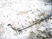 Halteband Kraftstoffbehälter Volkswagen Passat, B5 1996.08 - 2000.11 Gebraucht,