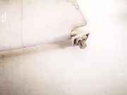 Sonnenblende Opel Vectra, B 2000.09 - 2002.04 facelift 09152238,