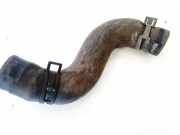 K?hlerschlauch Toyota Corolla Verso, III 2004.05 - 2007 Gebraucht,