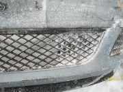 K?hlergrill - Vorne Center Ford Fiesta, V 2005.03 - 2008.12 facelift Gebraucht,
