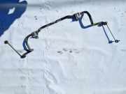 Stabilisator Vorne Renault Zoe I 2012 - 2020.06 Gebraucht,