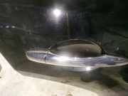 T?rgriff T?raussengriff - Hinten Rechts Infiniti QX50, I J50 2007.01 - 2016.06 Gebraucht,