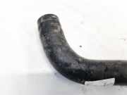 Kühlerschlauch Kia Sorento, II 2009.06 - 2012 Gebraucht,