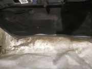 Motorraumdämmung Motorhaube Opel Astra, H 2004.03 - 2009.12 Gebraucht,