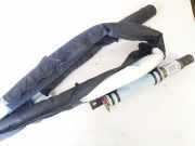 Kopfairbag - Vorne Rechts Renault Scenic, III 2009.02 - 2013.06 014568400431, 985p00014r