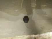 Waschwasserdüse Scheibenreinigung Suzuki Swift, 2005.02 - 2010.10 Gebraucht,