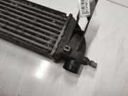 Ladeluftkühler Ford Transit Connect 2002.06 - 2008.12 Gebraucht ,