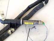 Kopfairbag - Vorne Rechts Renault Scenic, II 2003.06 - 2006.06 8200432642,