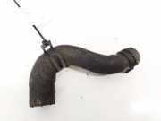 K?hlerschlauch Jaguar XF, X250 2012.01 - 2015.01 facelift Gebraucht,