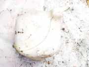 Scheibenwaschbehälter Vorne Wischwasserbehälter Rover 200, 1995.10 - 2000.03 Gebraucht,