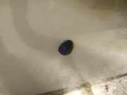 Waschwasserdüse Scheibenreinigung Renault Megane, I 1999.03 - 2002.10 facelift Gebraucht,