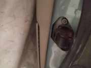 Türfangband Türbremse Türstopper - Hinten Linke Volvo S60, 2000.01 - 2005.01 Gebraucht,