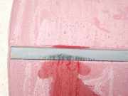 Zierleiste Tür Zier-Schutzleiste - Hinten Linke Opel Meriva, A 2002.12 - 2006.01 Gebraucht,