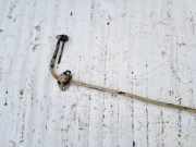 Stabilisator Stabi Hinten Hinterachse Kia Sportage, 2004.09 - 2010.01 Gebraucht,