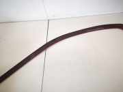 Zierleiste Leiste - Hinten Rechts Skoda Octavia, II 2004.02 - 2009.03 Gebraucht,