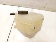 Ausgleichsbehälter Opel Insignia A, 2008.01 - 2013.01 13220124, 13220123