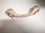 Haltegriff Haltegriff Verdeckgriff - Vorne Rechts Volvo V70, II 2001.01 - 2005.06 13550,