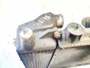 Ladeluftkühler Rover 25, 2001.06 - 2005.05 facelift pcc113550, btp5674