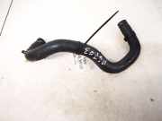 Kühlerschlauch Ford Focus, 1998.10 - 2002.10 Gebraucht,