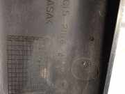 Schutzleiste Tür - Vorne Rechts Ford Transit, III 2000.01 - 2006.04 C1521116BAW, C15-21116-BAW