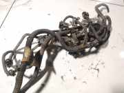 Kabelbaum Opel Signum, 2003.05 - 2008.06 Gebraucht,