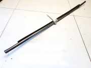 Zierleiste Leiste - Vorne Rechts Toyota Avensis, II 2003.04 - 2006.03 Gebraucht,