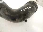 Schlauch für Luftversorgung Renault Scenic, II 2003.06 - 2006.06 820020161,