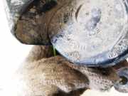 Hupe Peugeot 607, 2004.07 - 2010.12 facelift e9011157,