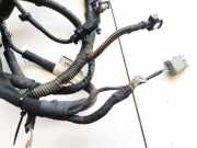 Kabelbaum Citroen C4 Picasso, II 2013.06 --> present 9801722480,