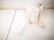 Scheibenwaschbeh?lter Vorne Wischwasserbeh?lter Nissan Micra, K14 2017 - 2020 E20016192,