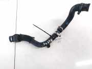 Kühlerschlauch Renault Laguna, II 2001.03 - 2006.05 Gebraucht ,