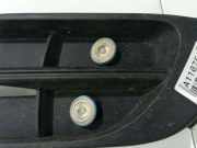 K?hlergrill - Vorne Linke Skoda Roomster, I 2006.01 - 2010.05 Gebraucht,