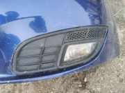 K?hlergrill - Vorne Linke Fiat Croma 2005 - 2011 Gebraucht,