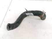 Kühlerschlauch Toyota Avensis Verso, 2001.08 - 2009.11 Gebraucht ,