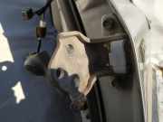 Türscharnier Vorne Hyundai Santa Fe, 2000.11 - 2006.03 Gebraucht,