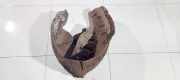 Radhausschale - Vorne Linke Renault Scenic, III 2009.02 - 2013.06 Gebraucht,