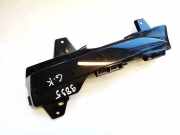 Schutzleiste Tür - Hinten Linke Tesla Model Y, 2020 --> 149002200a, 1490022-00-a