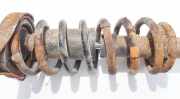 Fahrwerksfeder Hinterachse Audi A6, C4 1994.06 - 1997.10 Gebraucht,