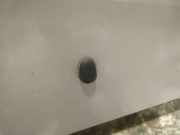 Waschwasserdüse Scheibenreinigung Mazda 323F, 1998.09 - 2004.05 Gebraucht,