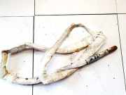 Kopfairbag - Vorne Rechts BMW 5-Series, E60 E61 2003.07 - 2010.03 5322322,5322322