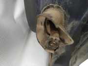 Türfangband Türbremse Türstopper - Hinten Linke Seat Alhambra, 2000.06 - 2010.03 facelift Gebraucht,