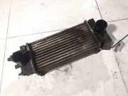 Ladeluftk?hler Land-Rover Freelander, 1998.02 - 2006.10 Gebraucht,