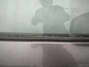 Zierleiste Leiste - Vorne Rechts Renault Grand Scenic, II 2009.02 - 2013.06 Gebraucht,