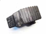 Luftfilterkasten Renault Laguna, I 1994.01 - 2001.03 7700860203,7700860203