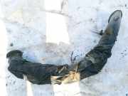 Schlauch für Luftversorgung Peugeot 607, 2000.01 - 2004.07 9635403680,9632381580