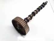 Nockenwelle Renault Grand Scenic, I 2003.01 - 2009.12 585577,