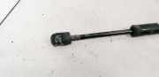 Gasdruckfeder Kofferraum Audi A4, B5 1994.11 - 1999.09 8D5827552C,