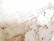 Scheibenwaschbehälter Vorne Wischwasserbehälter Citroen C8, I 2002.07 - 2008.06 1494915080, 1494916080