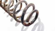 Fahrwerksfeder Hinterachse Skoda Octavia, II 2004.02 - 2009.03 Gebraucht,
