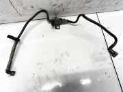 Unterdrucksteuerventil Renault Scenic, III 2009.02 - 2013.06 208859042r,